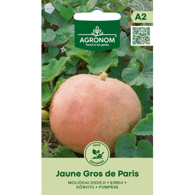 Gresskarfrø JAUNE GROS DE PARIS
