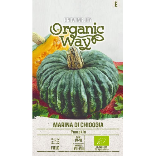 Gresskarfrø EKO MARINA DI CHIOGGIA