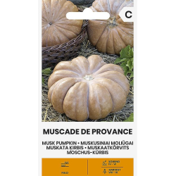 Gresskarfrø MUSCADE DE PROVENCE