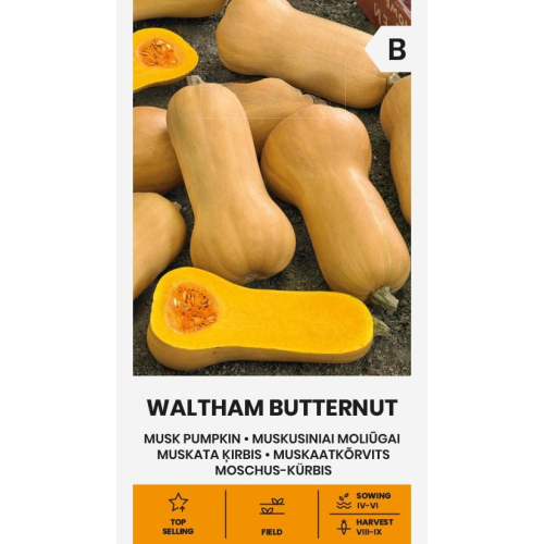 Gresskarfrø MUSKUS WALTHAM BUTTERNUT