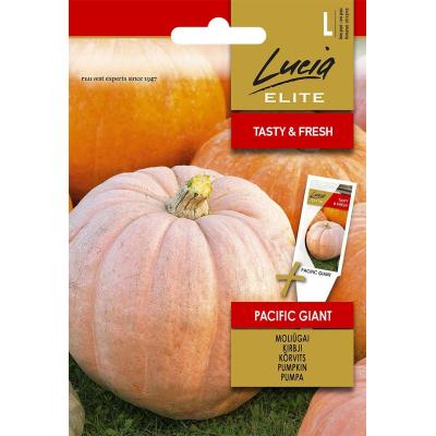 Gresskarfrø PACIFIC GIANT