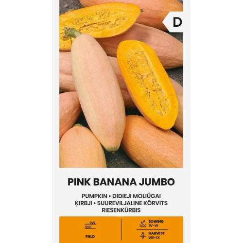 Gresskarfrø PINK BANANA JUMBO