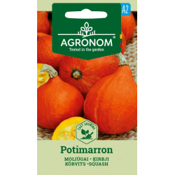 Gresskarfrø POTIMARRON