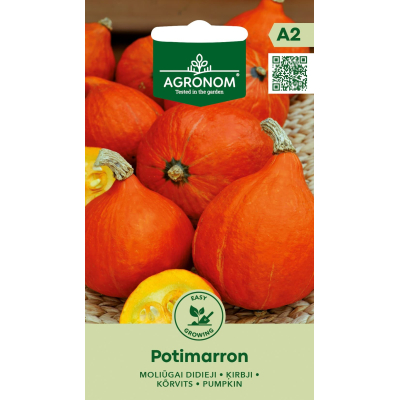 Gresskarfrø POTIMARRON