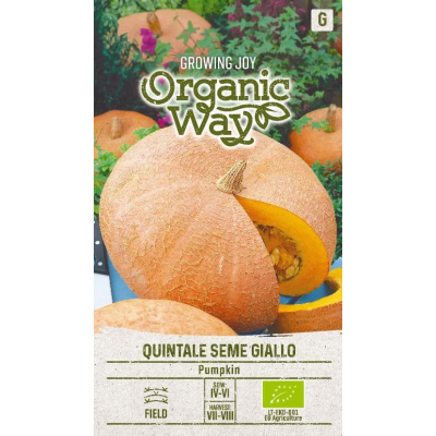 Gresskarfrø EKO QUINTALE SEME GIALLO
