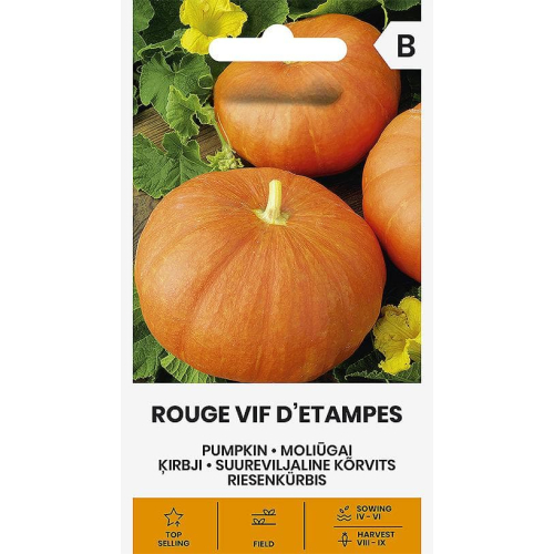 Gresskarfrø ROUGE VIF D ETAMPES