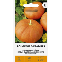 Gresskarfrø ROUGE VIF D ETAMPES