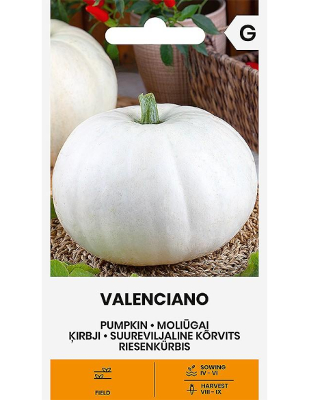 Gresskarfrø VALENCIANO