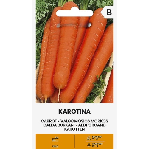 Gulrot frø KAROTINA