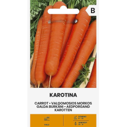 Gulrot frø KAROTINA