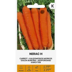 Gulrot frø NERAC H