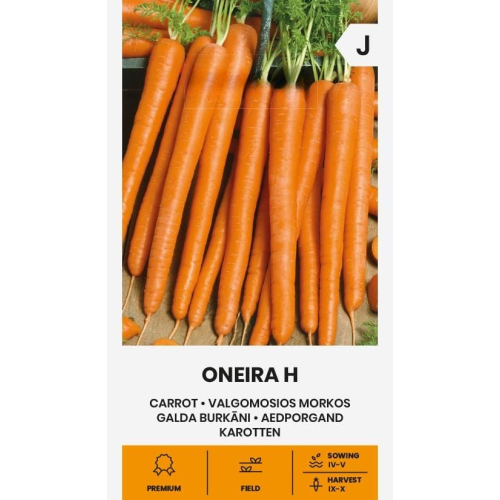 Gulrot frø ONEIRA H