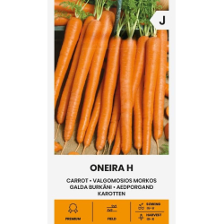 Gulrot frø ONEIRA H