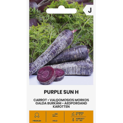 Gulrot frø PURPLE SUN H