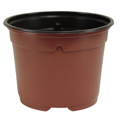 Potte for spirer 9 cm brun