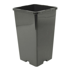 Rosepotte 16cm svart