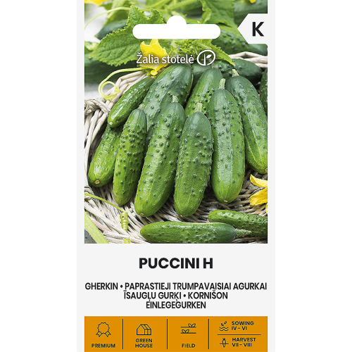 Agurk frø GHERKIN PUCCINI H