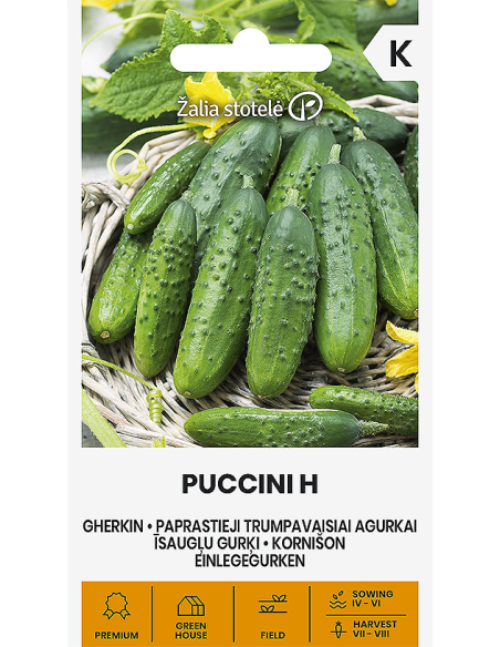 Agurk frø GHERKIN PUCCINI H