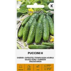 Agurk frø GHERKIN PUCCINI H