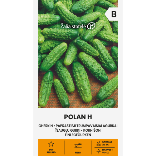 Agurkfrø POLAN H