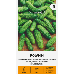 Agurkfrø POLAN H