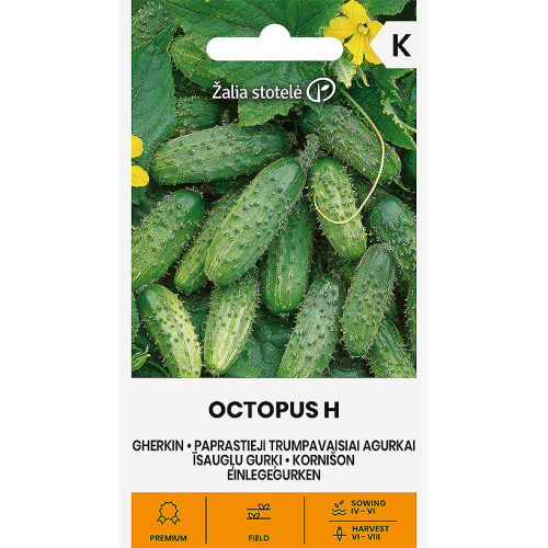 Agurkfrø OCTOPUS H