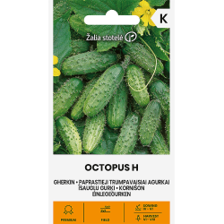 Agurkfrø OCTOPUS H
