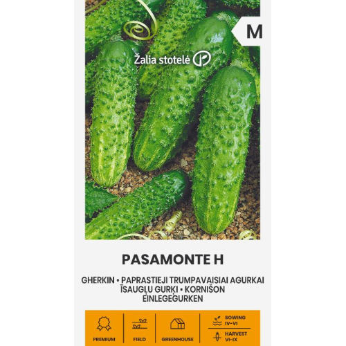 Agurkfrø PASAMONTE H