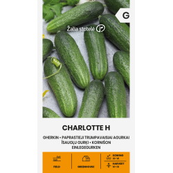 Agurkfrø CHARLOTTE H
