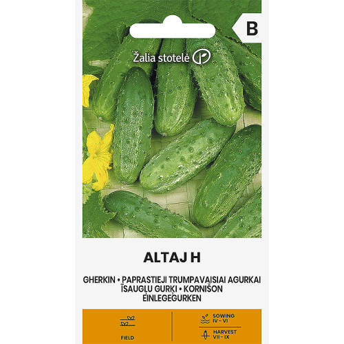Agurkfrø ALTAJ H