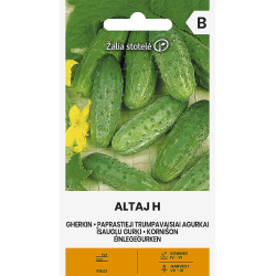 Agurkfrø ALTAJ H