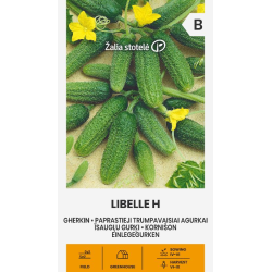 Agurkfrø LIBELLE H