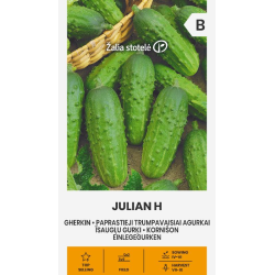 Agurkfrø JULIAN H