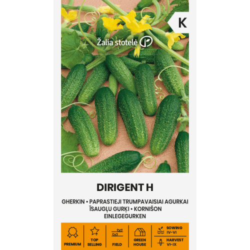 Agurkfrø DIRIGENT H