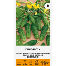 Agurkfrø DIRIGENT H