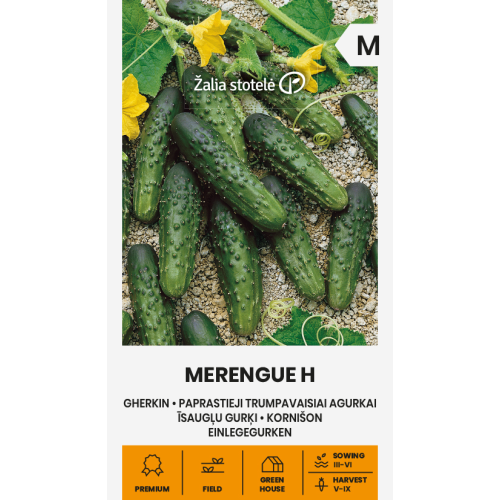 Agurkfrø MERENGUE H