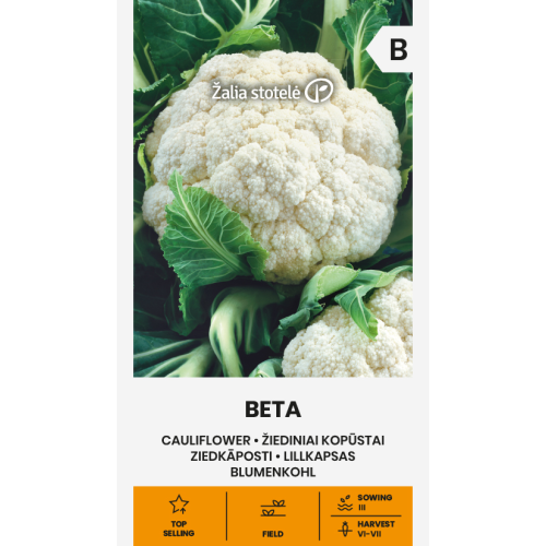 Blomkål Beta