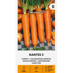 Gulrot frø NANTES 3