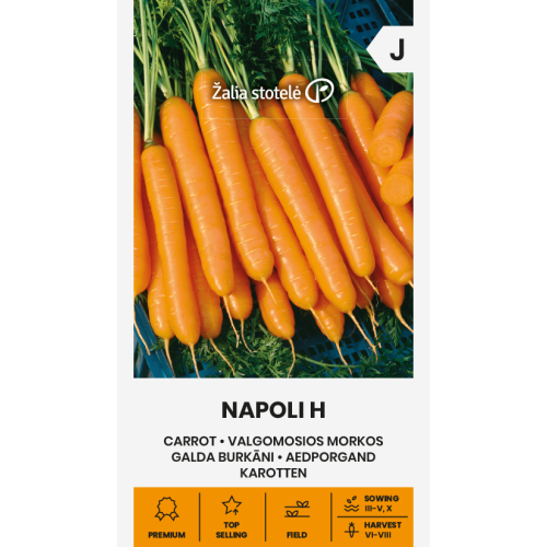 Gulrot frø NAPOLI H