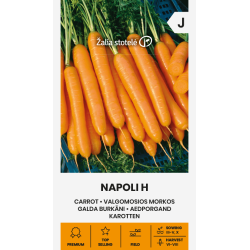 Gulrot frø NAPOLI H