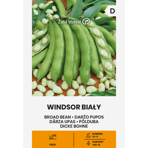 Bønner Windsor Bialy