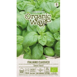 Basilikumfrø EKO ITALIANO CLASSICO