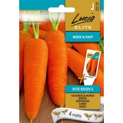 Gulrot frø ROTE RIESEN 2