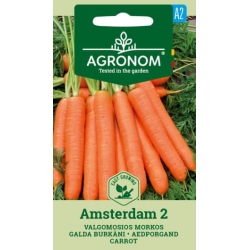 Gulrot frø AMSTERDAM 2