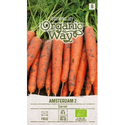 Gulrot frø AMSTERDAM 2 EKO