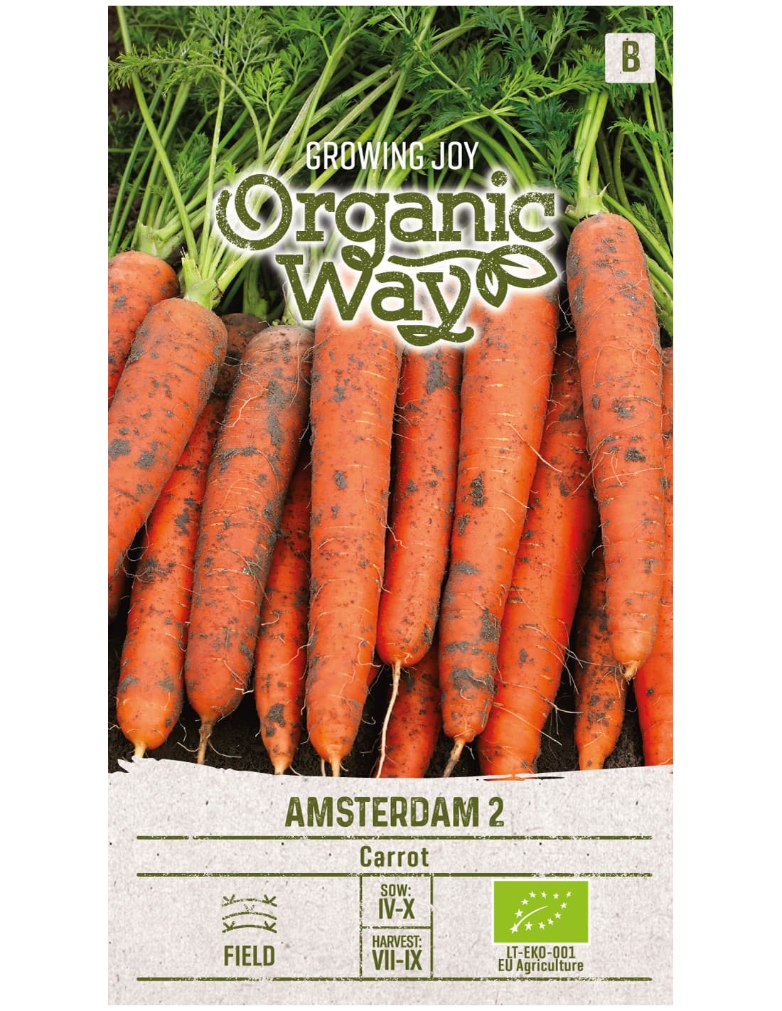 Gulrot frø AMSTERDAM 2 EKO