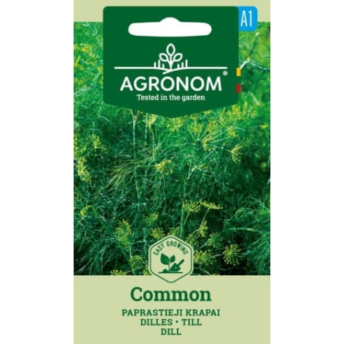 Dill frø COMMON
