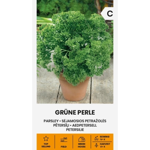 Persille frø GRÜNE PERLE