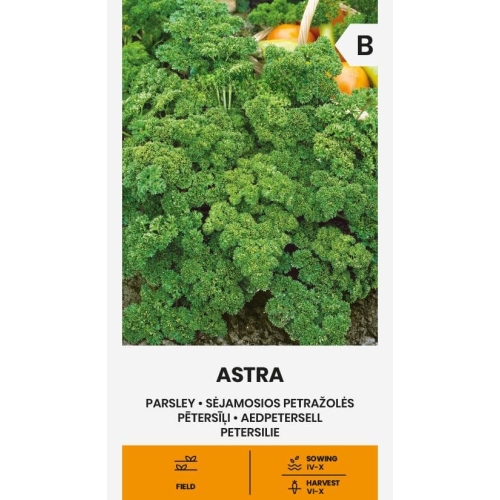 Persille frø ASTRA