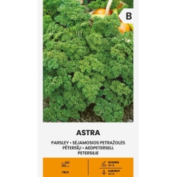 Persille frø ASTRA